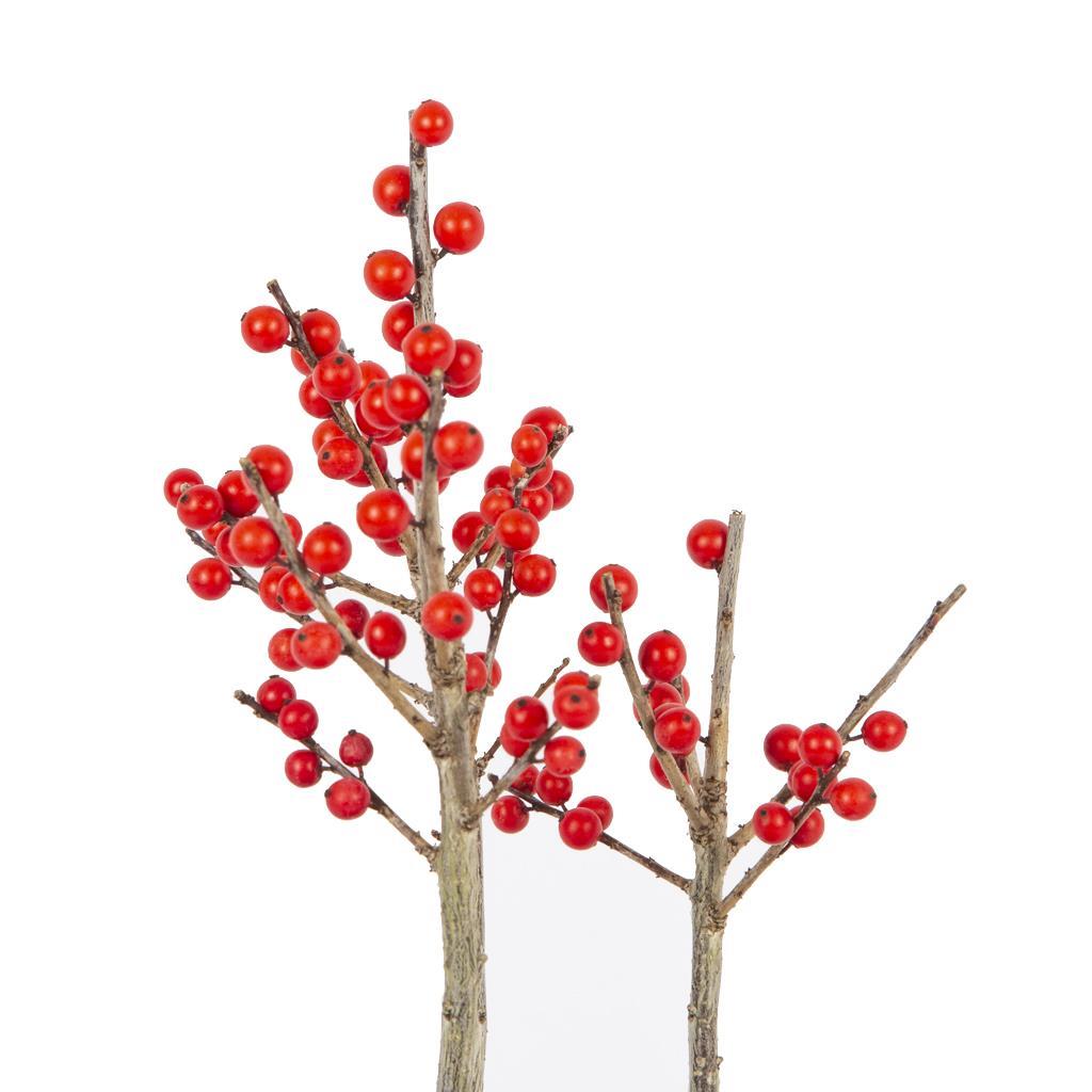 coban-puskulu-ilex-verticillata-10-20--53-479.jpg