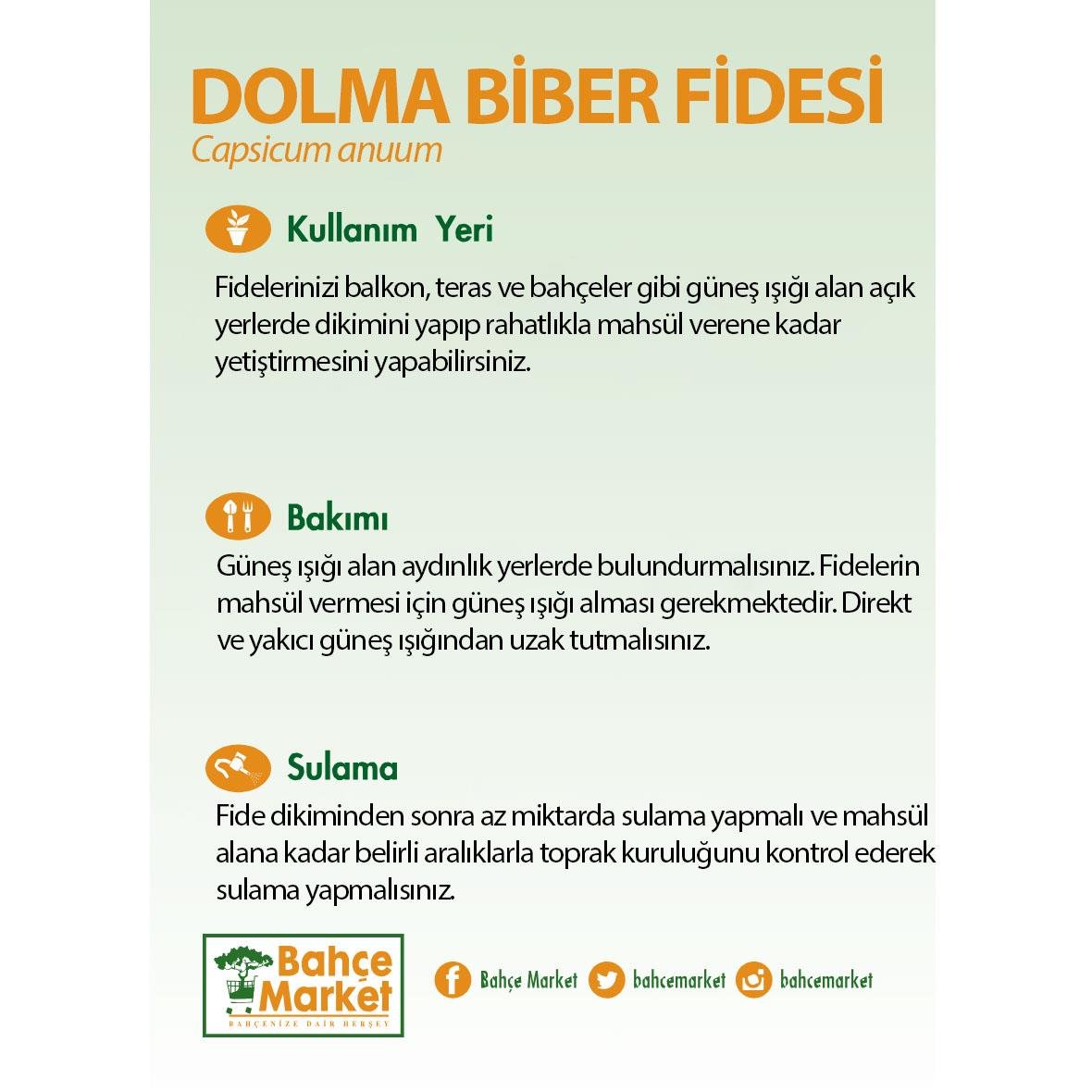 Dolma Biber Fidesi