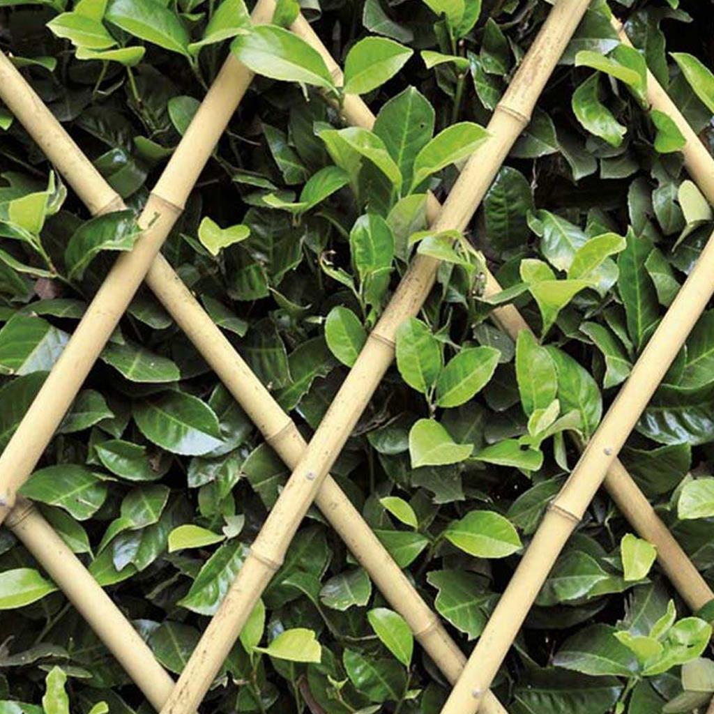 genisleyebilen-bambu-cit-180x120-cm-56b-d3.jpg
