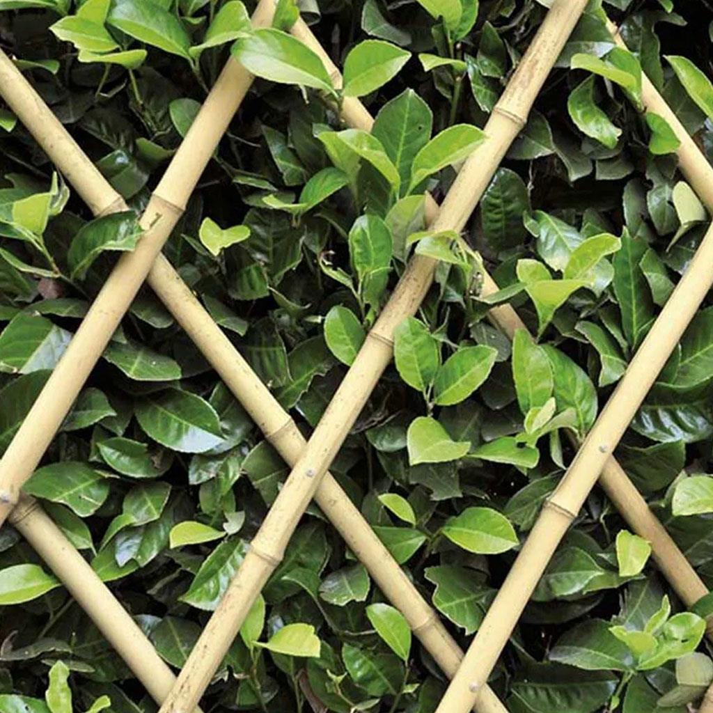 genisleyebilen-bambu-cit-180x150-cm-053f29.jpg