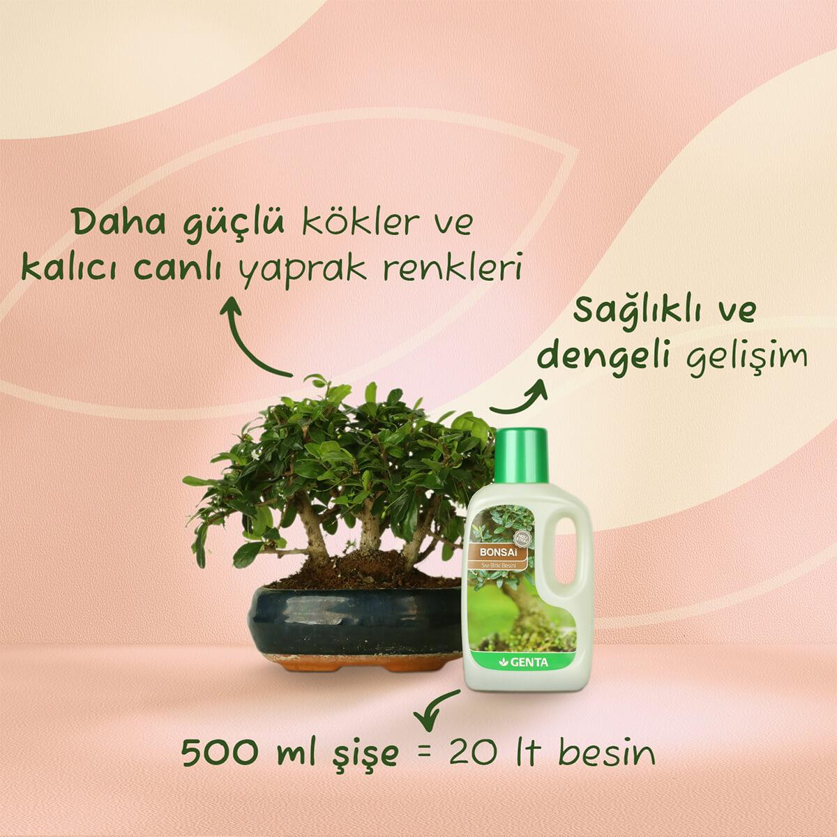 Genta Bonsailer için Sıvı Besin (500 Ml)