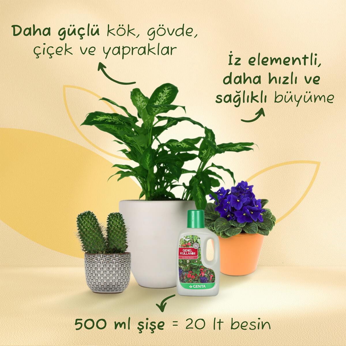 Genta Genel Kullanım Sıvı Bitki Besini (500 Ml)
