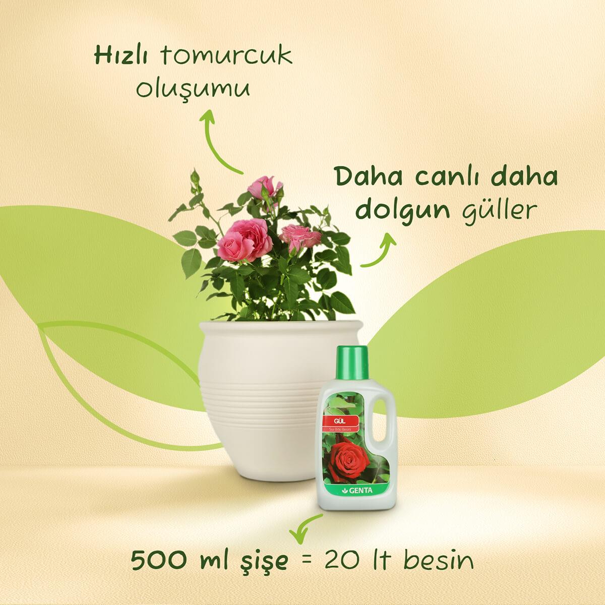 Genta Güller İçin Sıvı Besin 500 Ml