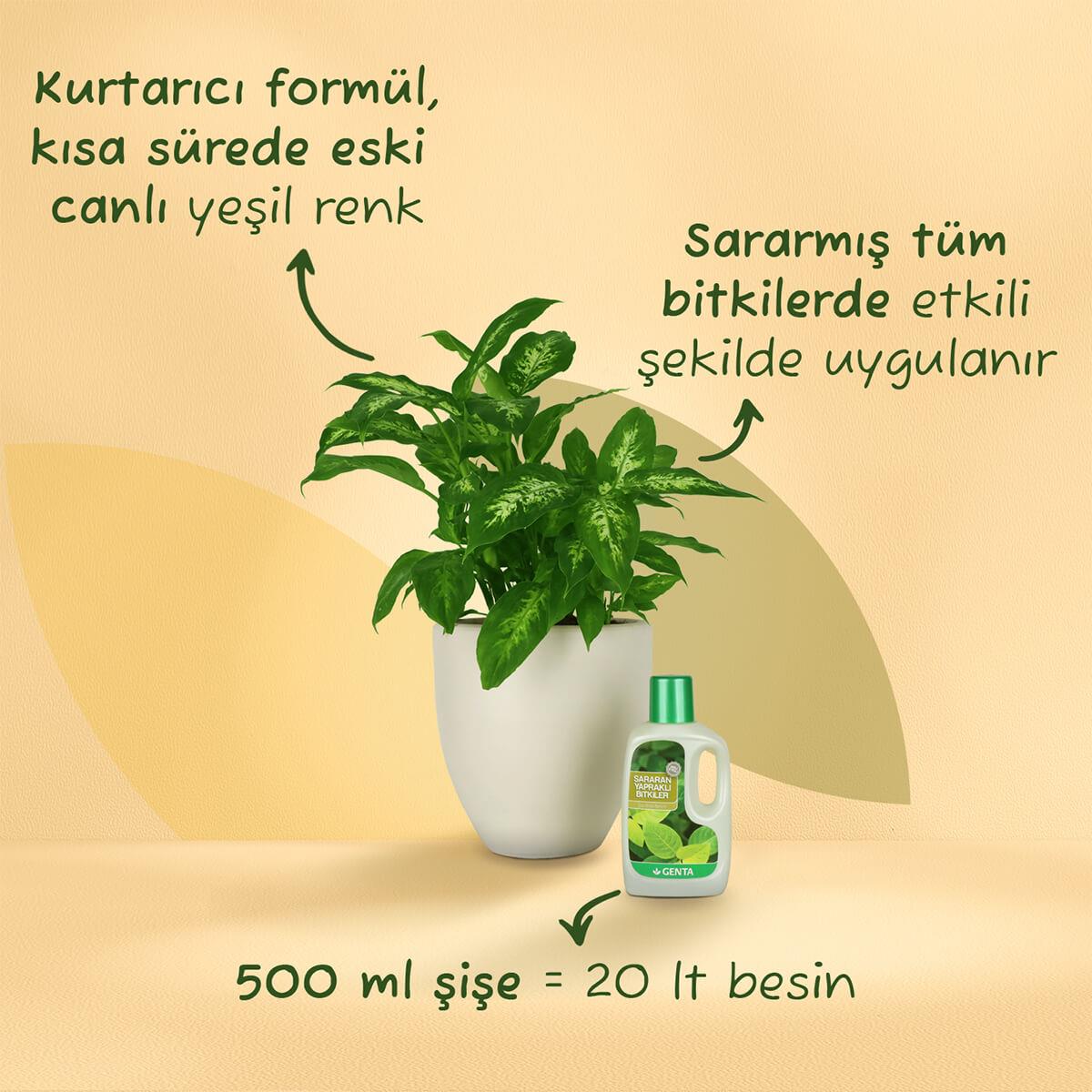 Genta Sararan Yapraklı Bitkiler için Sıvı Besin (500 Ml)
