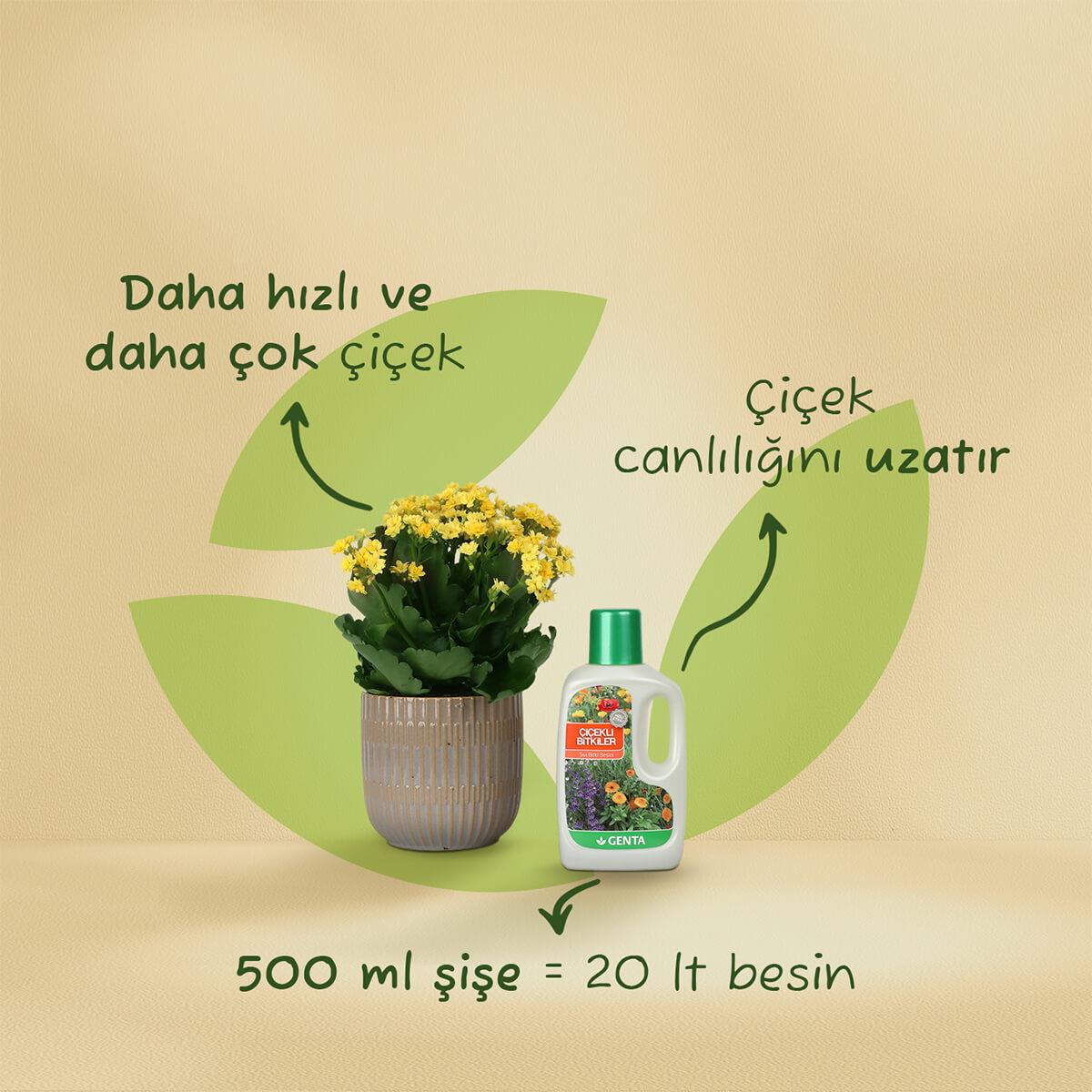 Genta Sıvı Çiçekli Bitki Besini