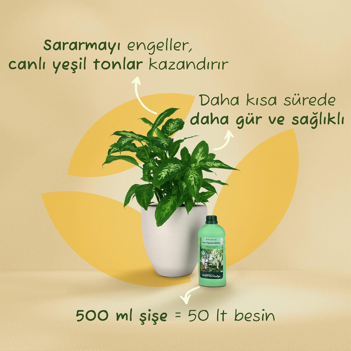 Genta Yeşil Yapraklı Bitkiler için Sıvı Besin (500 Ml) Yüksek Etkili