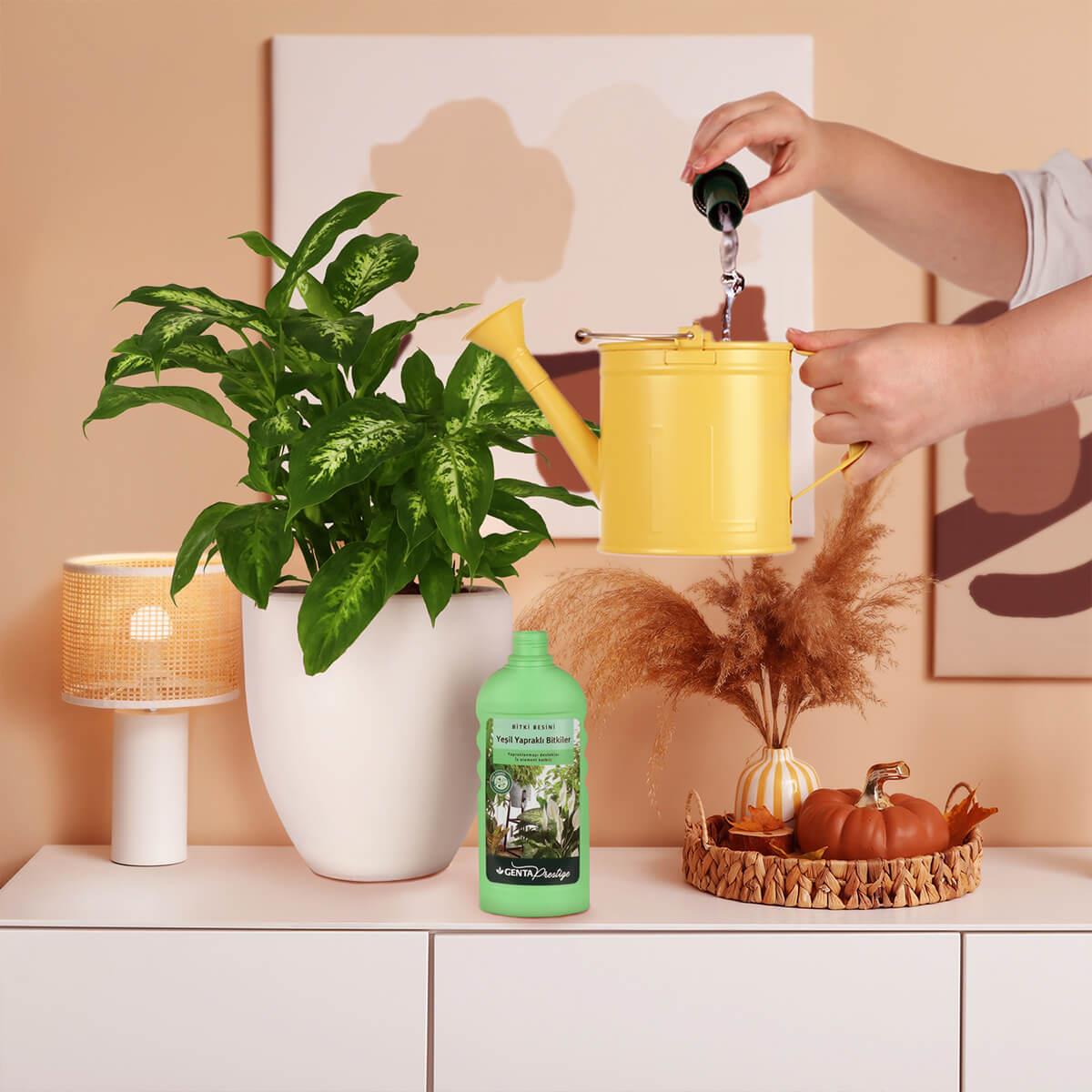 Genta Yeşil Yapraklı Bitkiler için Sıvı Besin (500 Ml) Yüksek Etkili