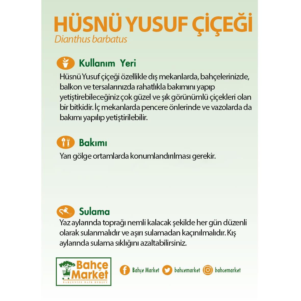 Hüsnü Yusuf Çiçeği