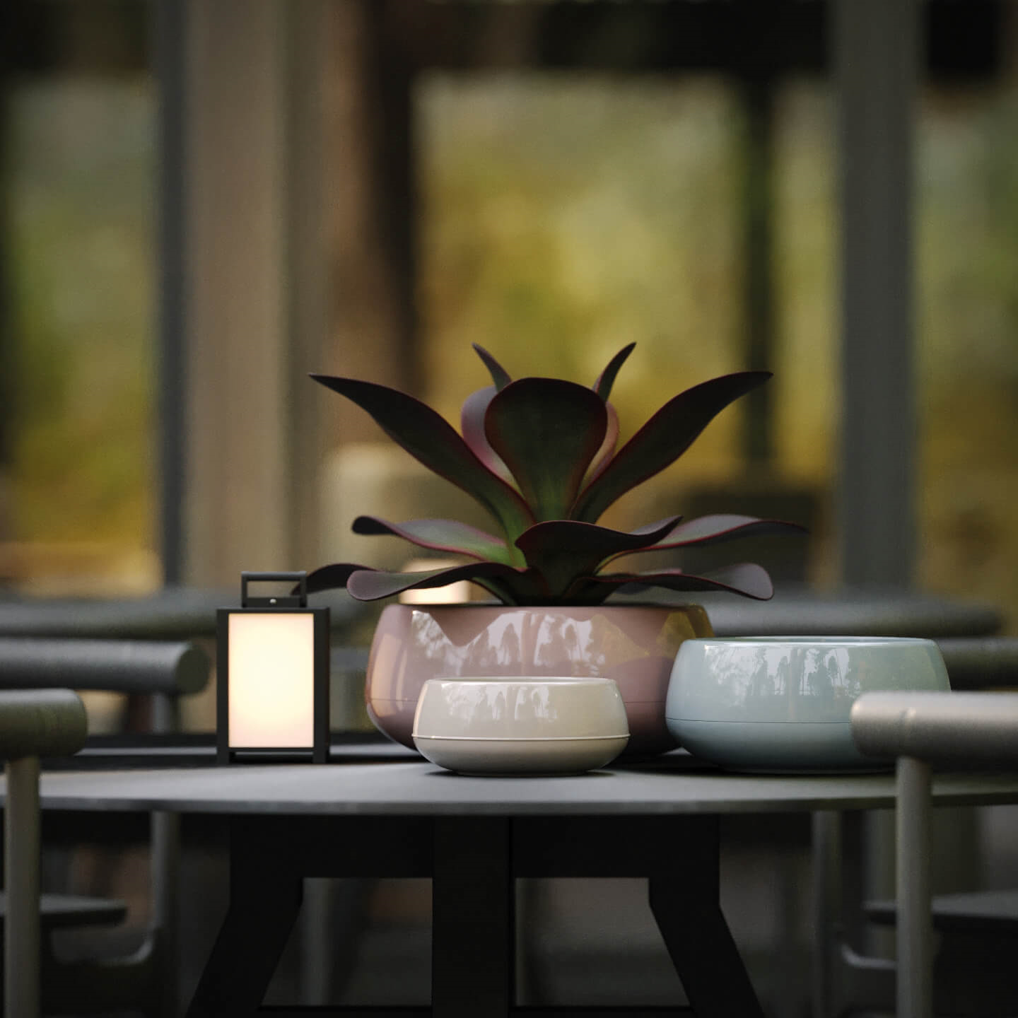 Kaktüs Arajman Saksı  No:2 2 Lt