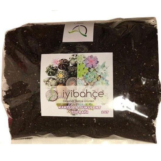 Kaktüs-Succulent Toprak 2 Lt
