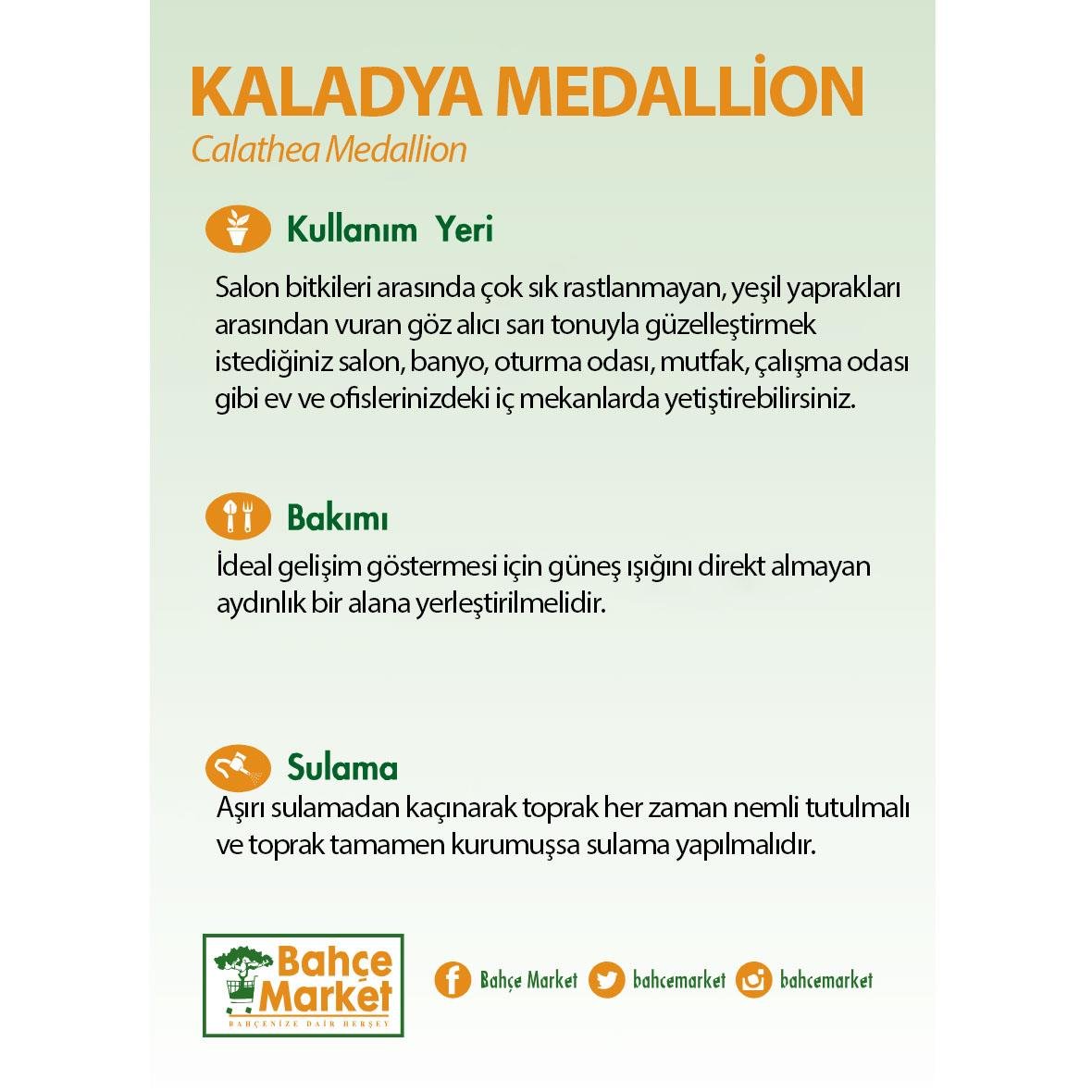Kaladya Medallion - Dua Çiçeği 30-40 Cm