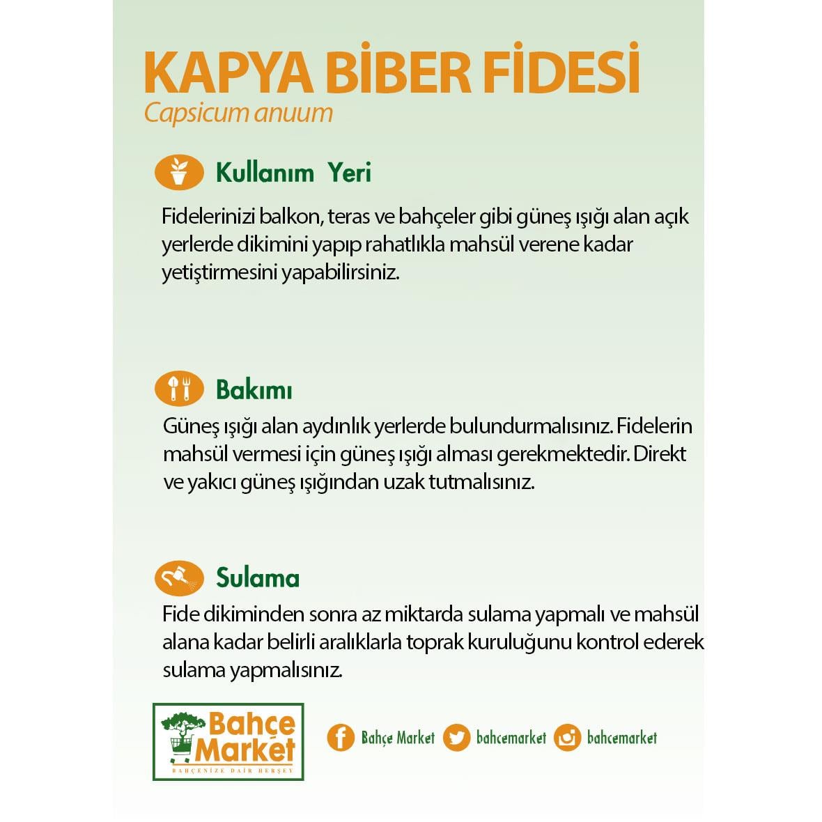 Kapya Biber Fidesi