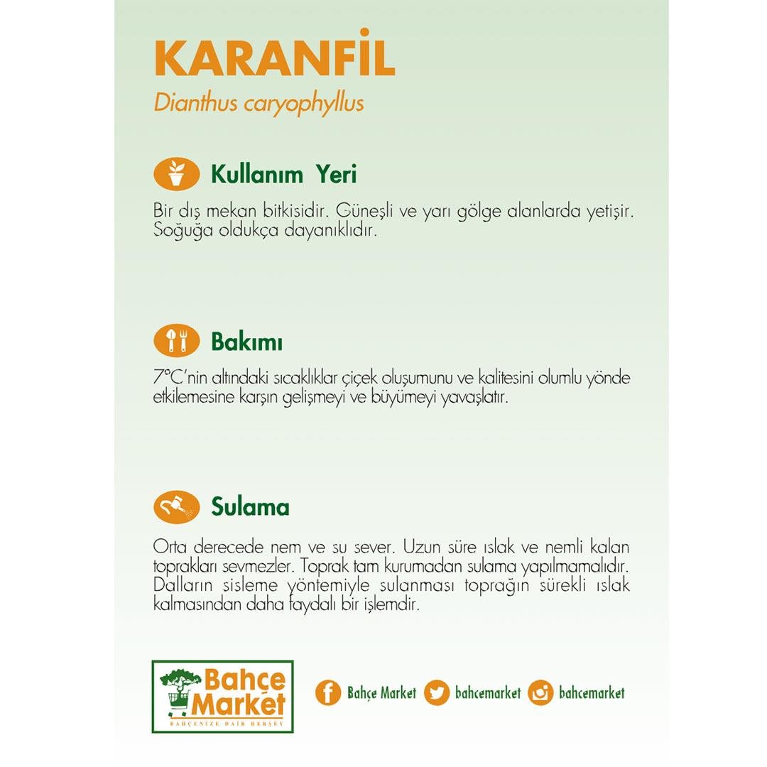 Karanfil Mix