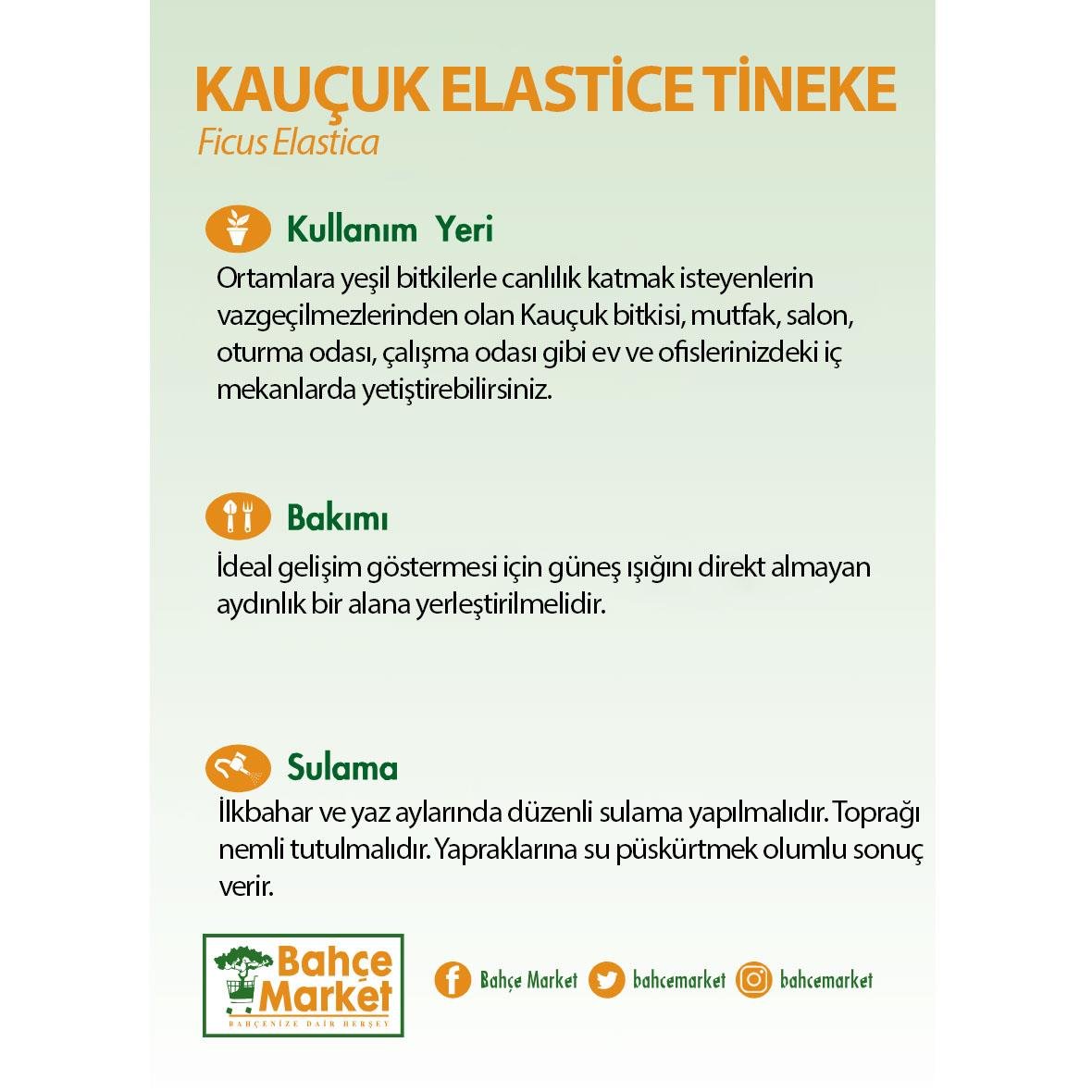 Kauçuk Elastice Tineke 2li 80-100 Cm Yeşil