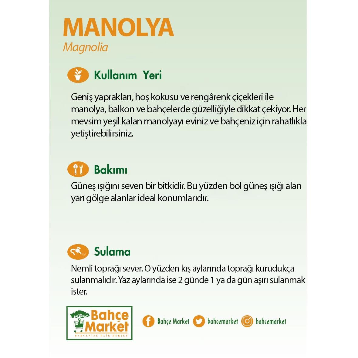 Manolya Susan Mor