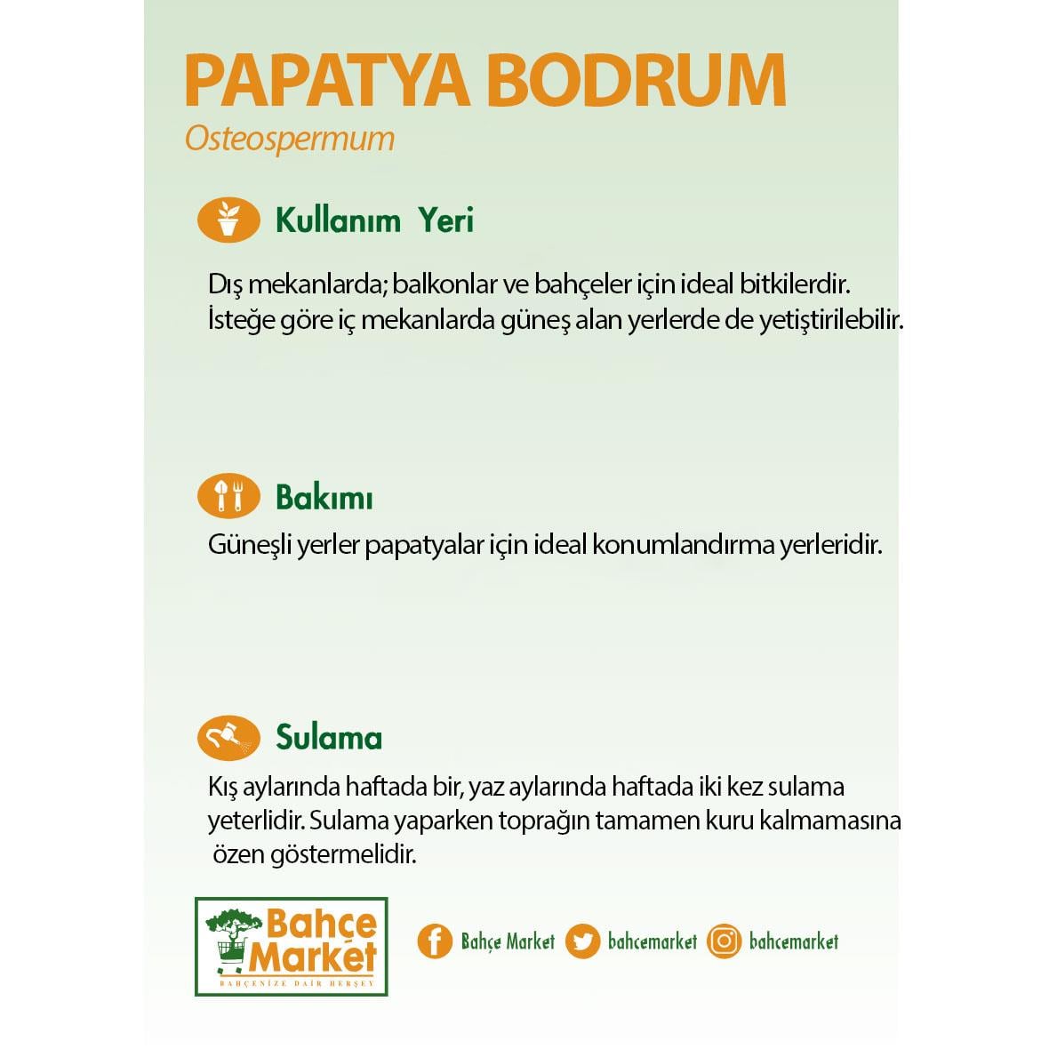 Papatya Bodrum Askılı Mix Sarı
