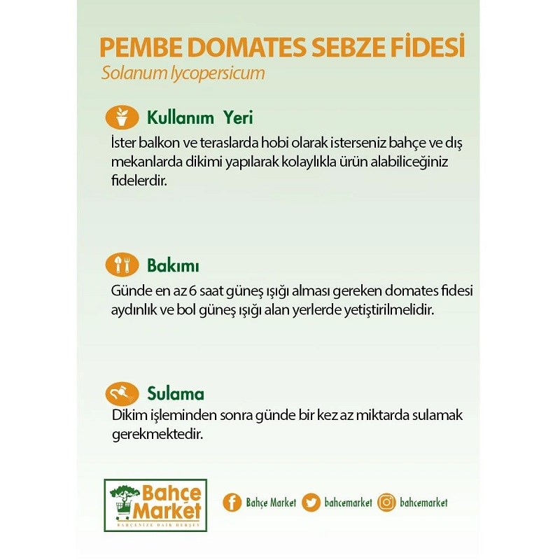 Pembe Domates  Fidesi