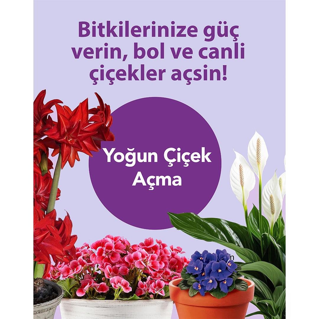 PetroTurk Bol Çiçekli Bitkiler Sıvı Bitki Besini 250 Ml