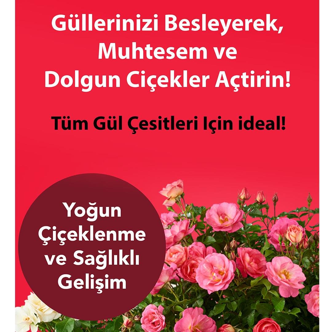 PetroTurk Gül Sıvı Bitki Besini 250 Ml