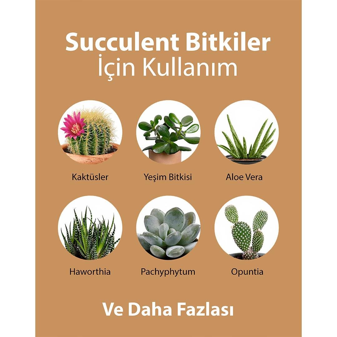 PetroTurk Succulent Sıvı Bitki Besini 250 Ml
