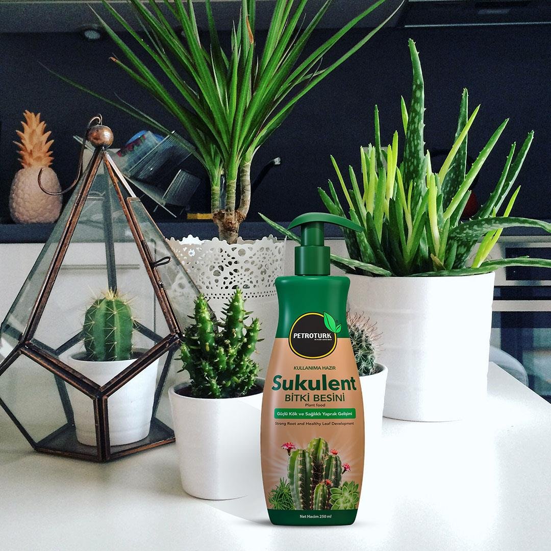PetroTurk Succulent Sıvı Bitki Besini 250 Ml