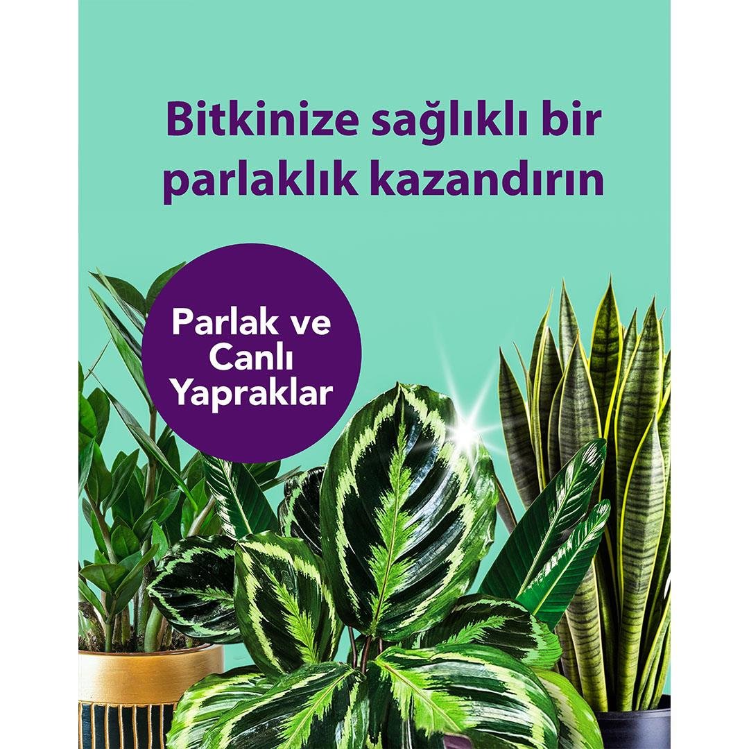 PetroTurk Yaprak Parlatıcı 250 Ml