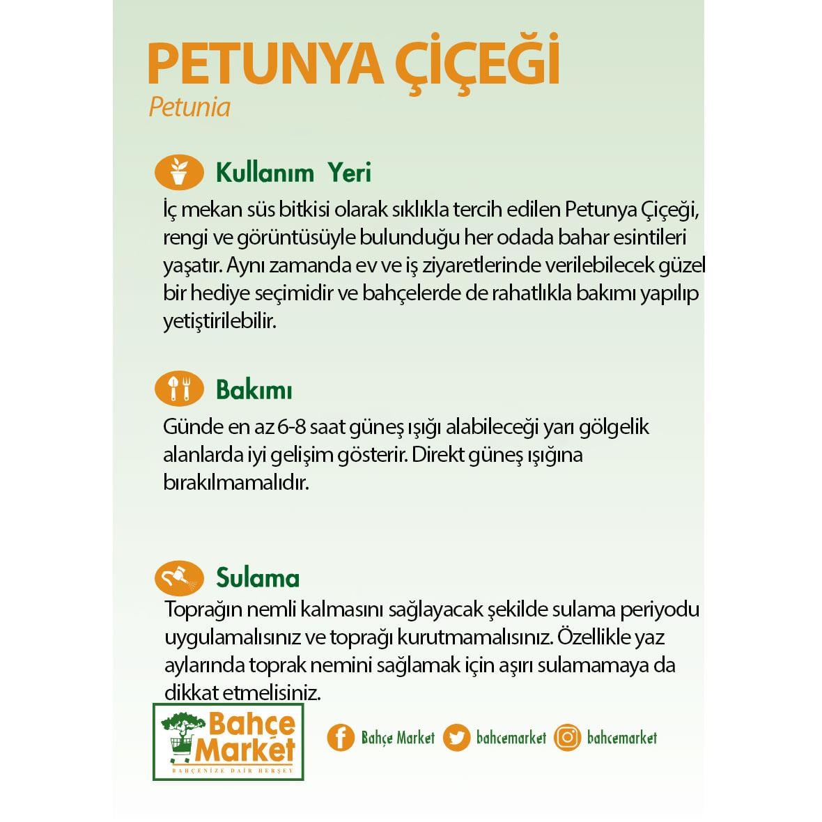 Petunya Çiçeği - Askılı Saksıda Çap 23 Cm - Boy 20-30 Cm