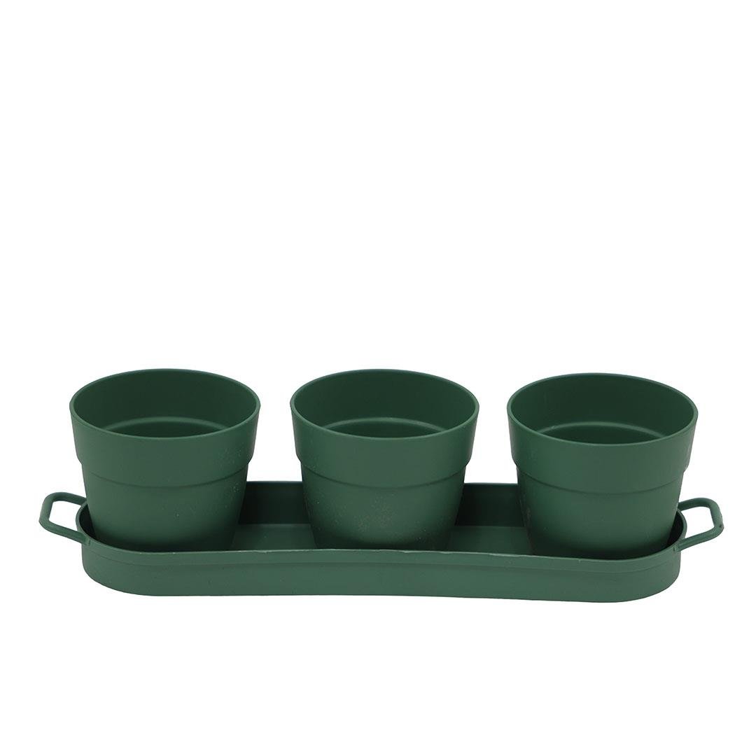 Poliwork 3'lü Set Kaktüs Saksı Mix 0,11 Lt 235*60*60 Mm
