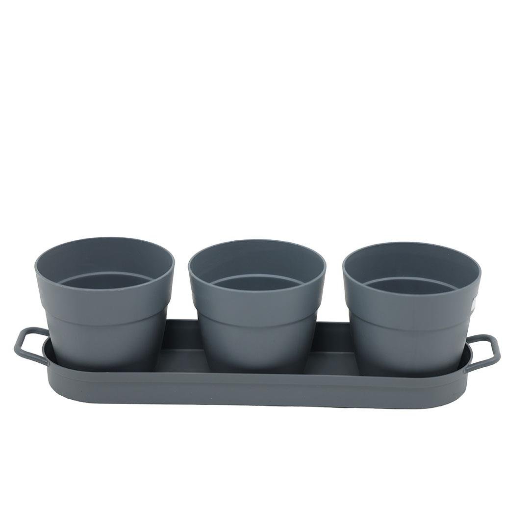 Poliwork 3'lü Set Kaktüs Saksı Mix 0,11 Lt 235*60*60 Mm