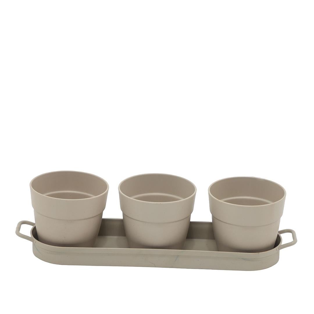 Poliwork 3'lü Set Kaktüs Saksı Mix 0,4 Lt 335*95*90 Mm