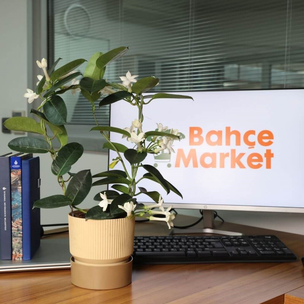 Poliwork Ixora Saksı 1,25 Lt Ayaklı 130*130 Mm