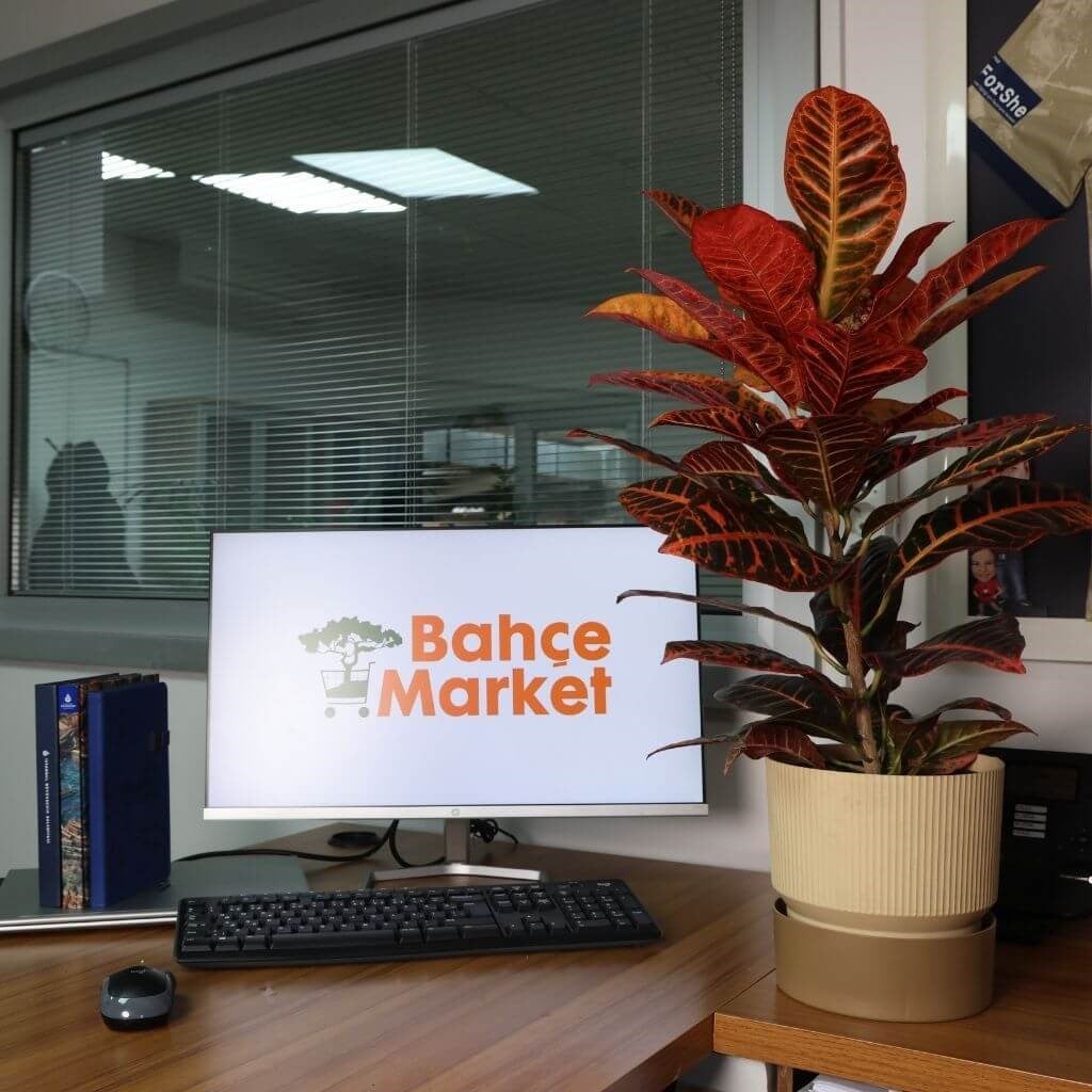 Poliwork Ixora Saksı Tabaklı 4 Lt - Çizgi Desenli 190*190 Mm