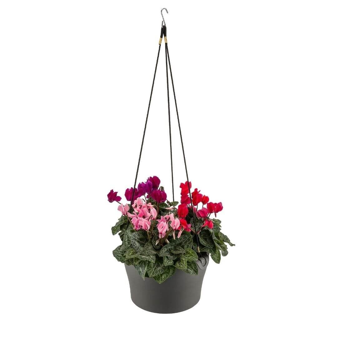 Poliwork Makreme Saksı 4,5 Lt 260*160 Mm