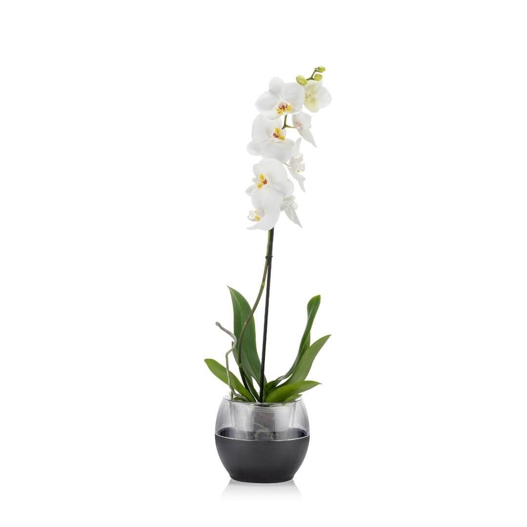 Poliwork Orkide Saksı Yarı Şeffaf 2 Lt 170*150 Mm