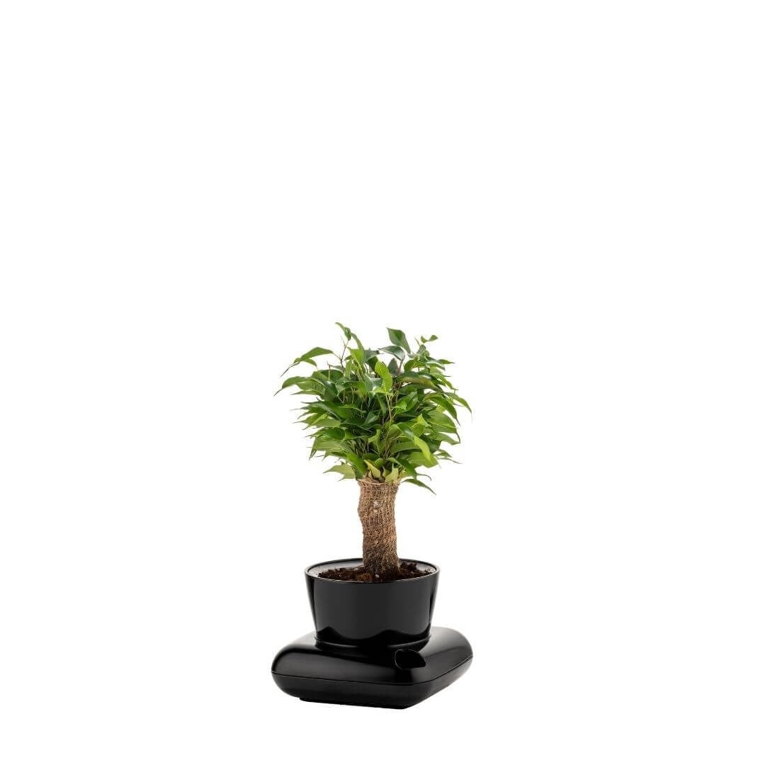 Poliwork Su Hazneli Yuvarlak Saksı 3,5 Lt 195*195*140 Mm