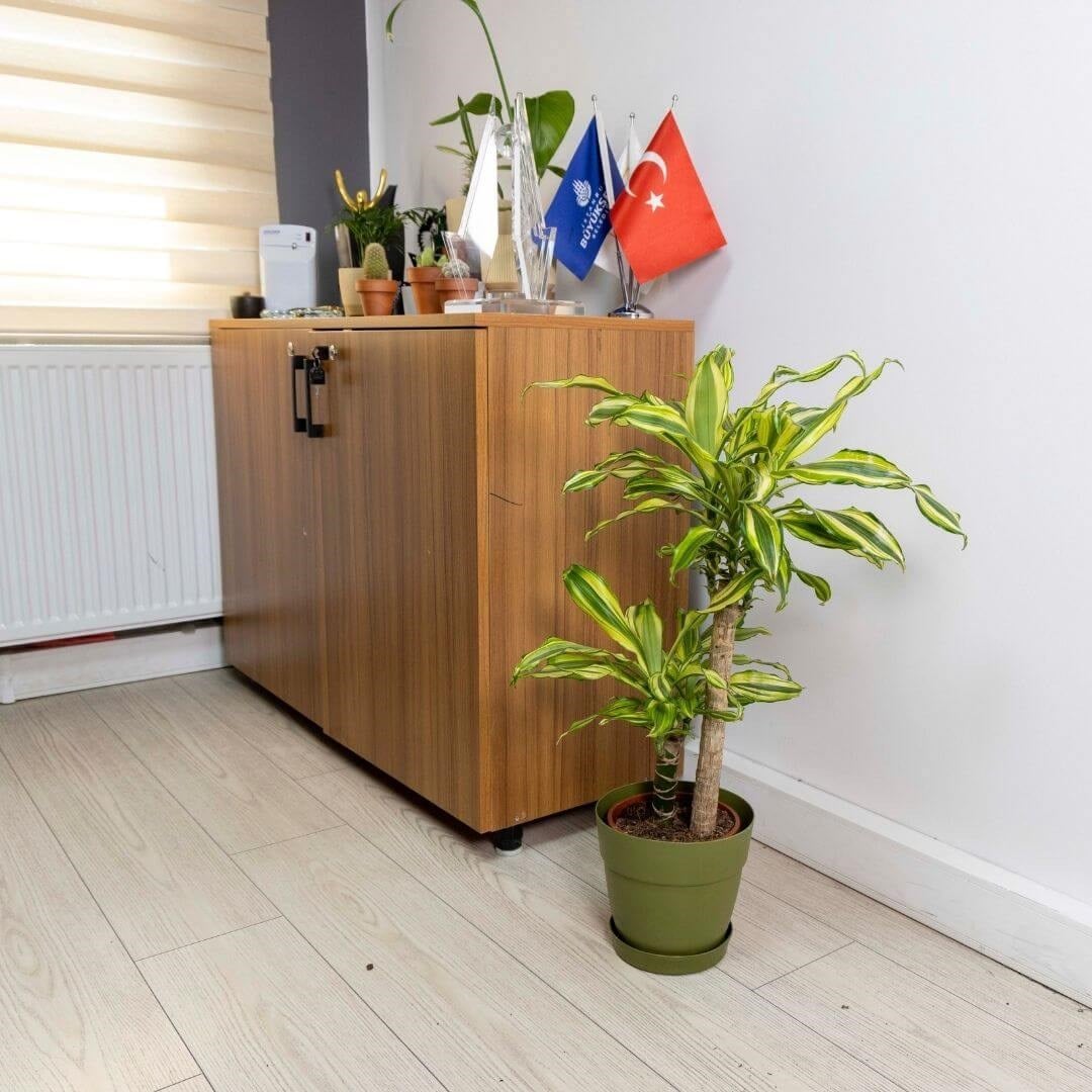 Poliwork Tabaklı Plastik Saksı 2,2 Lt 165*155 Mm