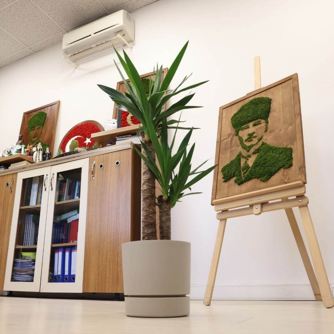 Poliwork Yuvarlak Tabaklı Saksı 9 Lt 250*235 Mm
