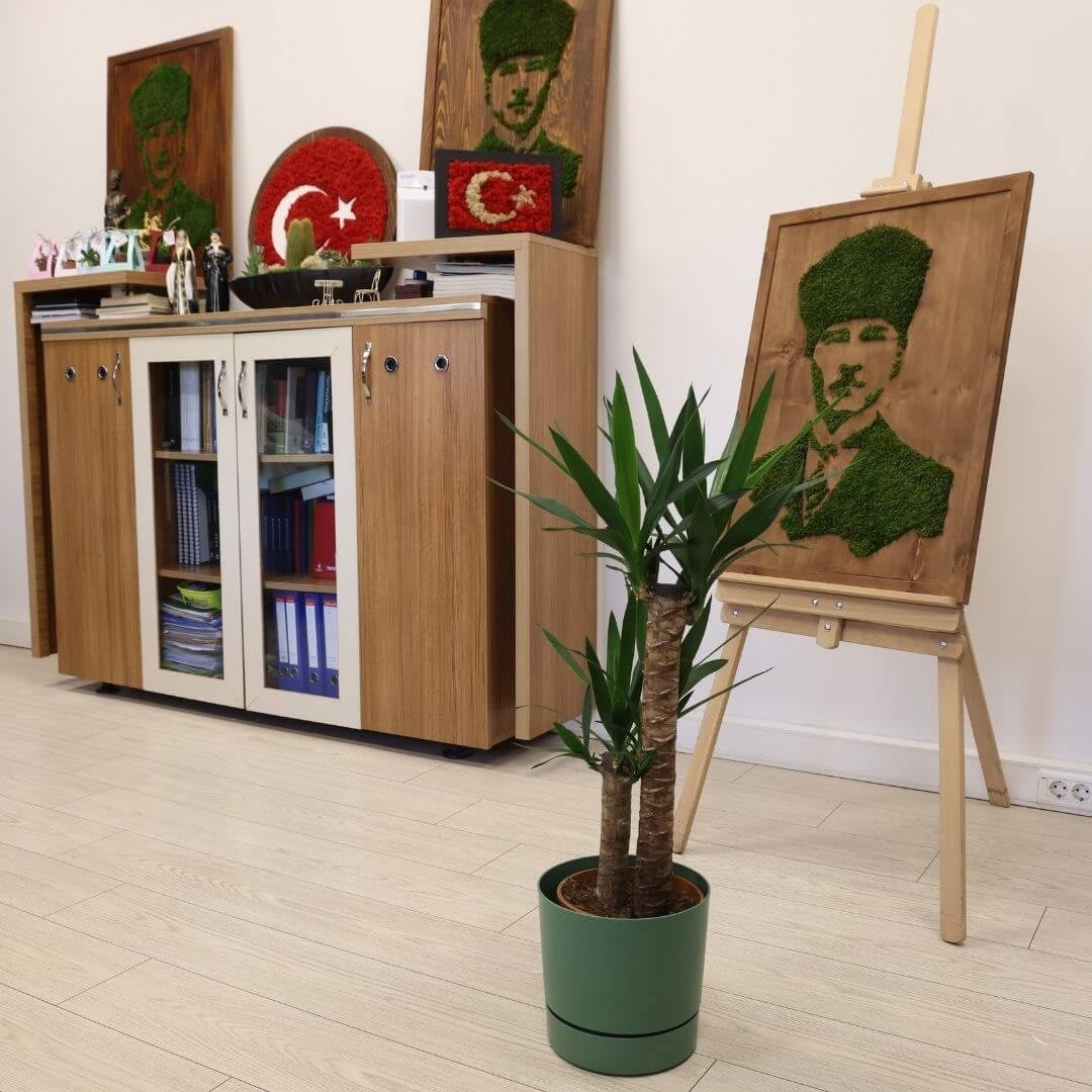 Poliwork Yuvarlak Tabaklı Saksı 9 Lt 250*235 Mm