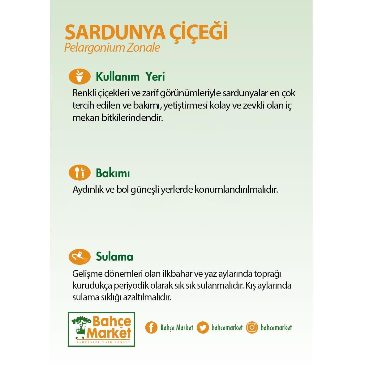 Sardunya Çiçeği Top Mix 10-20 Cm