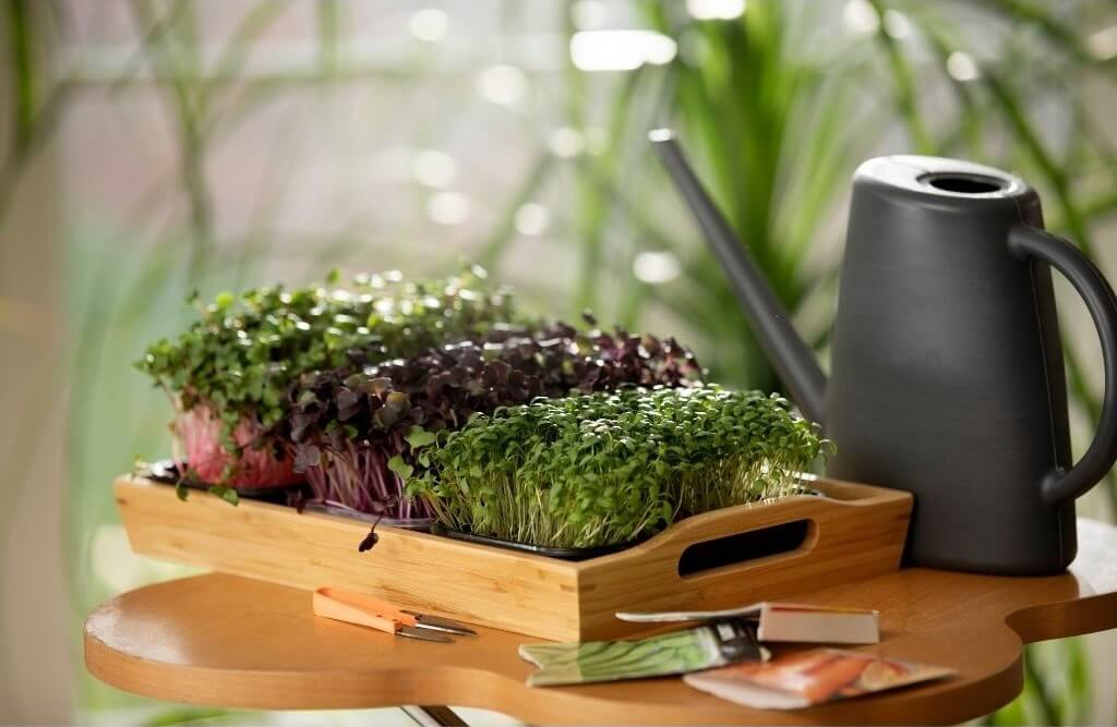 Serinova 1,7 Lt Sulama Bidonu Antrasit