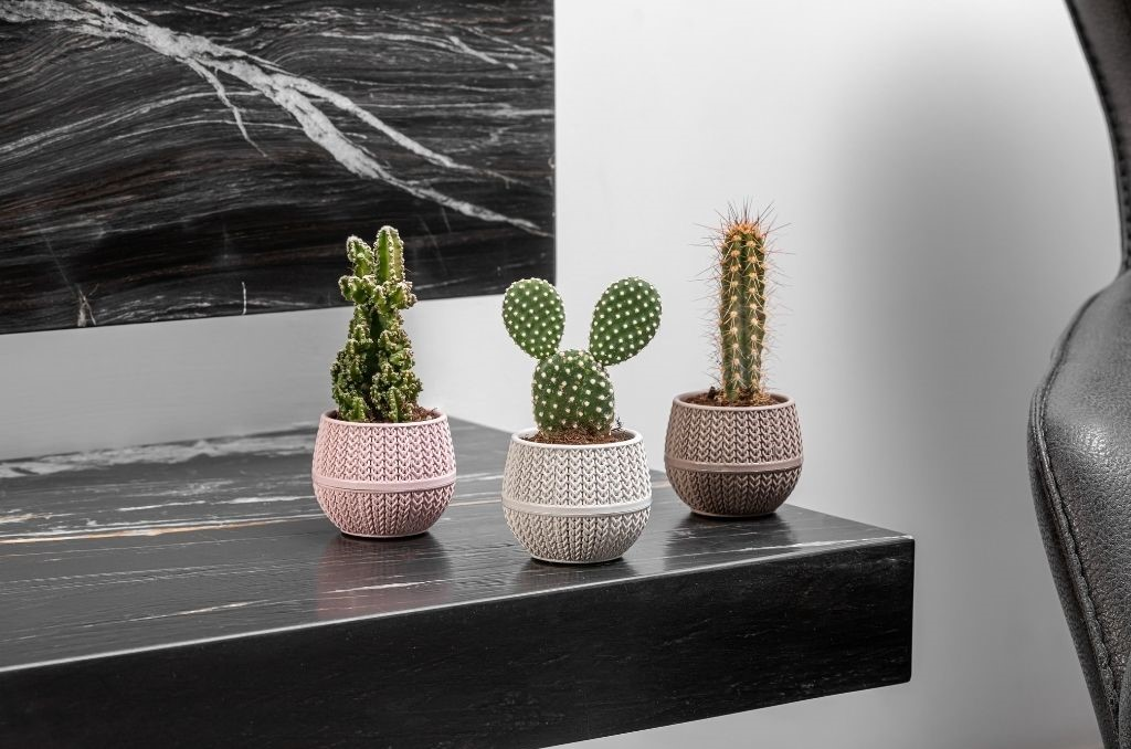 Serinova Amasra Örgülü Saksı 130 Ml