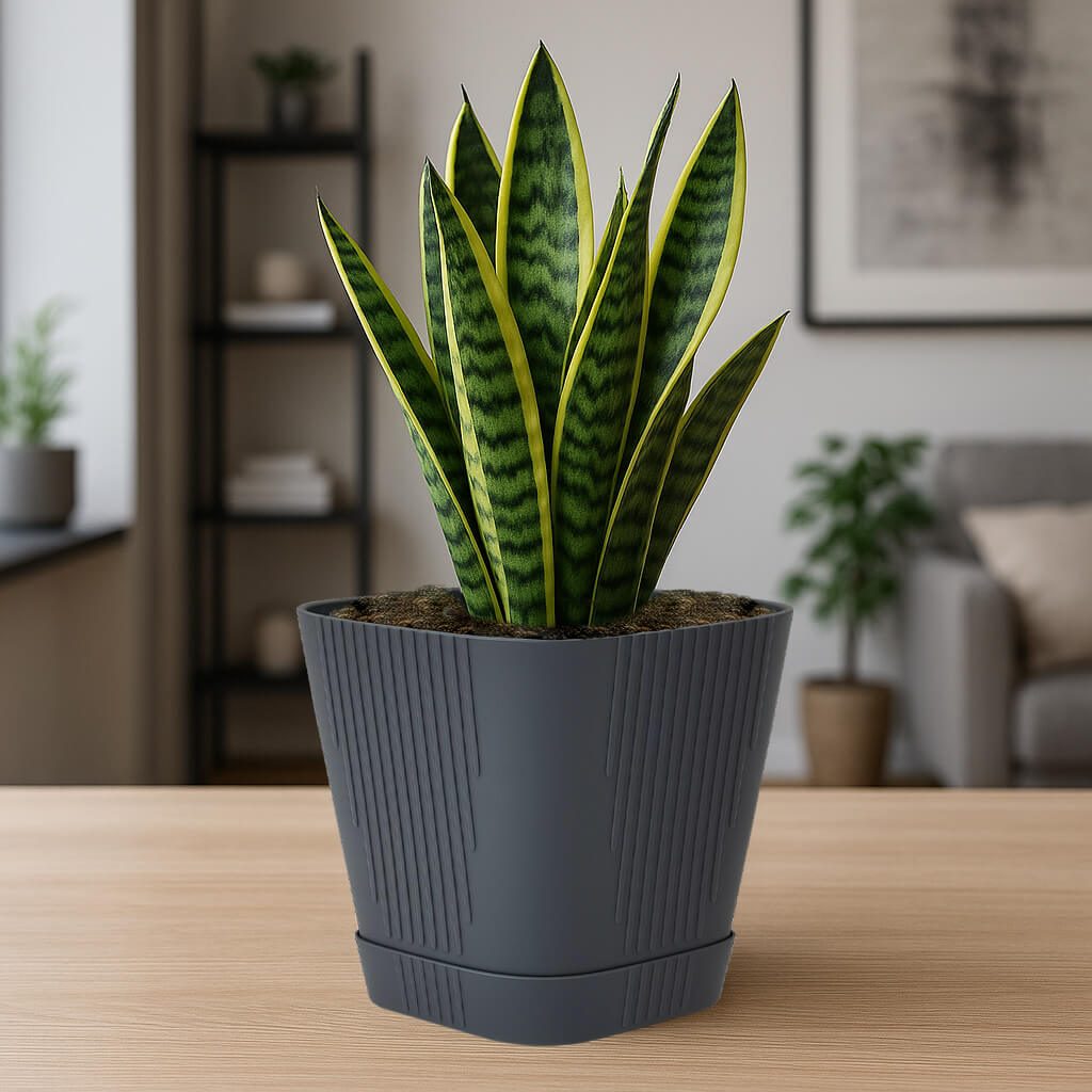 Serinova Çizgili Kare Saksı No:4