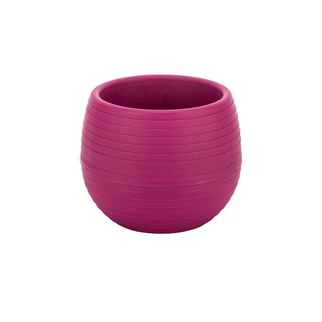 Serinova Elvan Kaktüs Saksısı 0.13 Lt