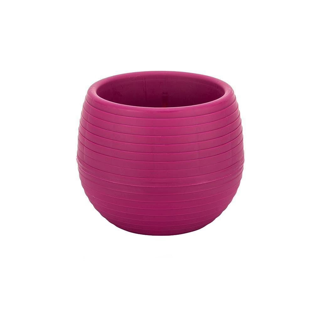 Serinova Elvan Kaktüs Saksısı 0.55 Lt