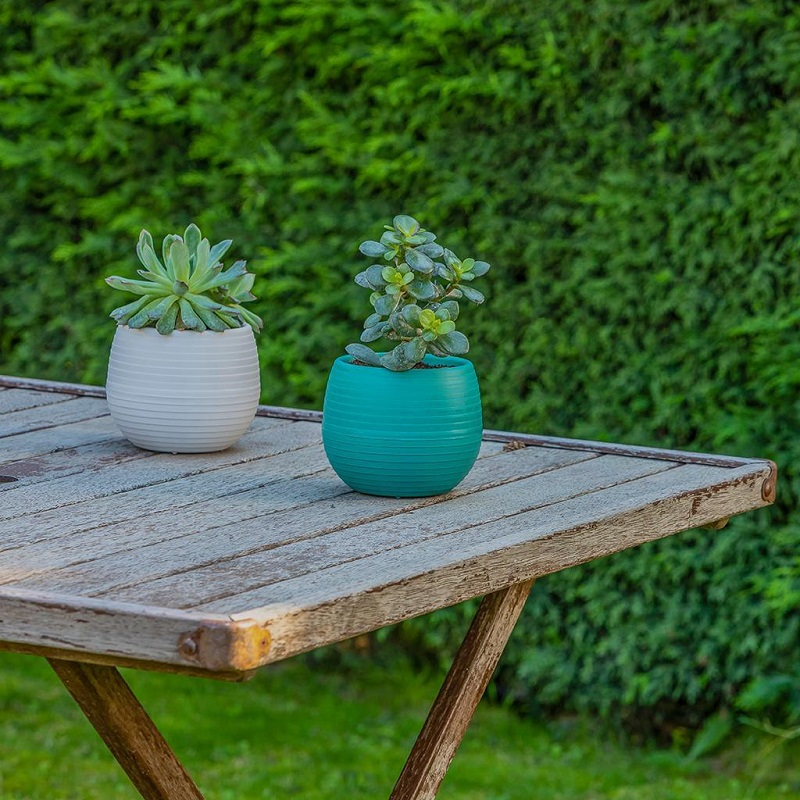 Serinova Elvan Kaktüs Saksısı 0.55 Lt