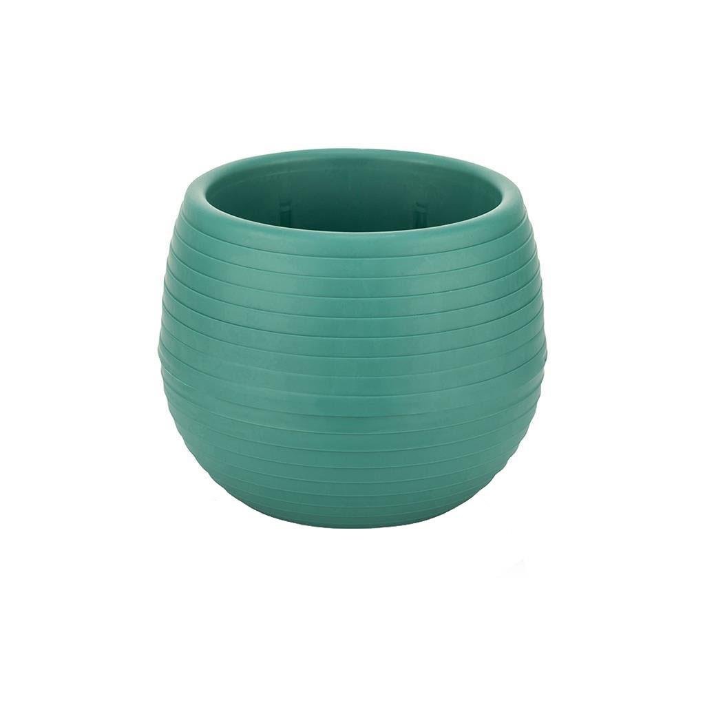 Serinova Elvan Kaktüs Saksısı 1.3 Lt