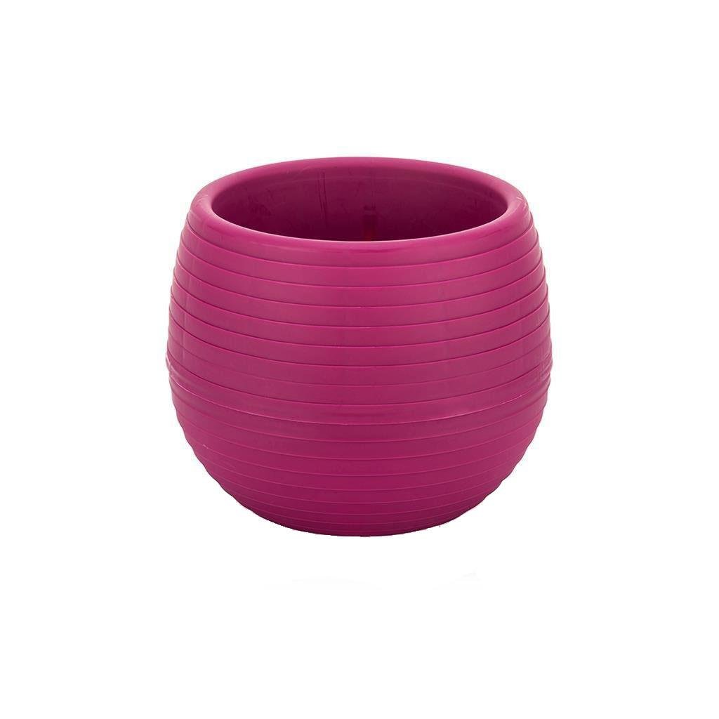 Serinova Elvan Kaktüs Saksısı 1.3 Lt