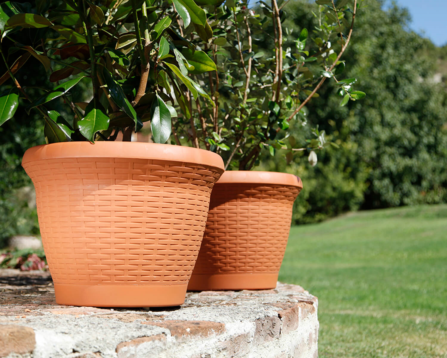 Serinova Hasır Saksı 25 Lt