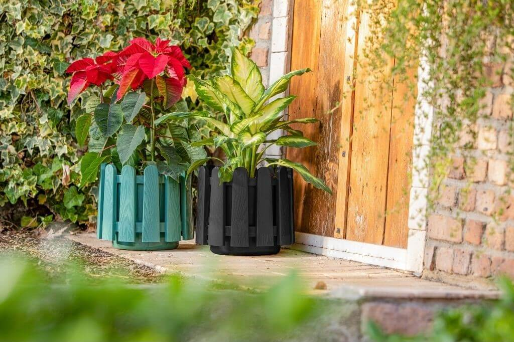 Serinova İstanbul Saksı 6,6 Lt