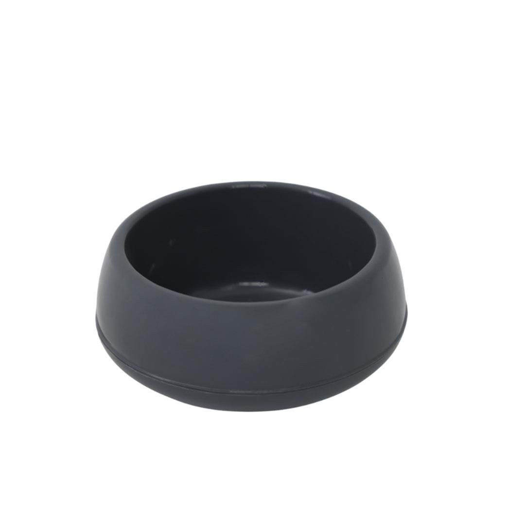 Serinova Kaktüs Arajman Saksı 0,86 Lt